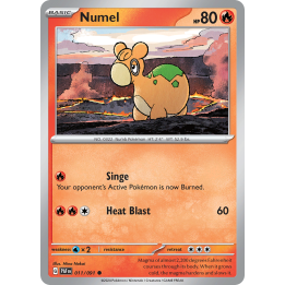Numel — Paldean Fates 11/91